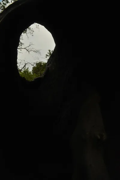 DSC_6336 (Large).JPG